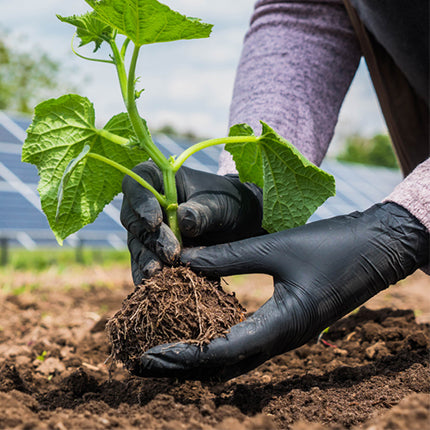 Disposable Gloves in Agriculture