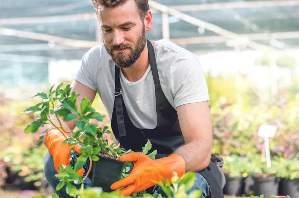Disposable Gloves in Agriculture